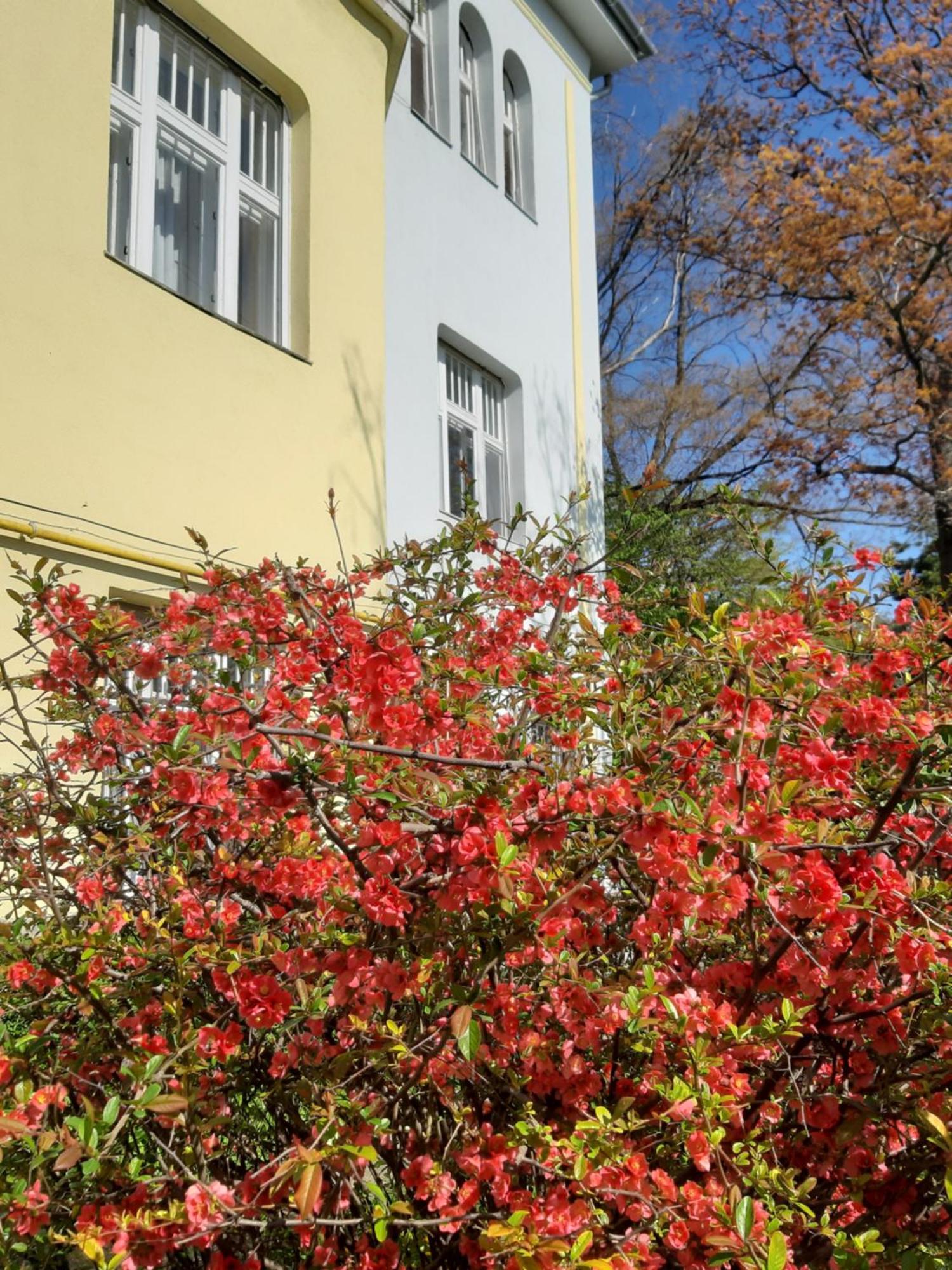 Green Hill Apartment Budapest Exterior photo
